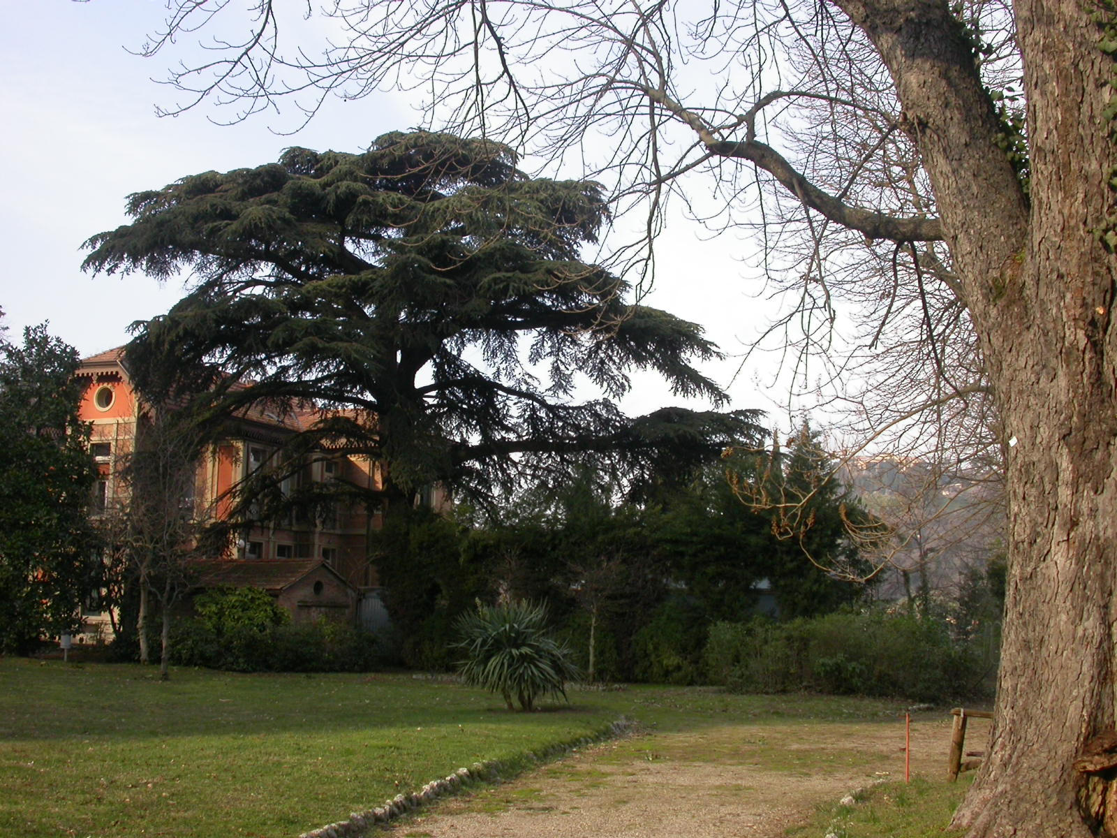 TG Parco San Michele in Bosco 2 - BO